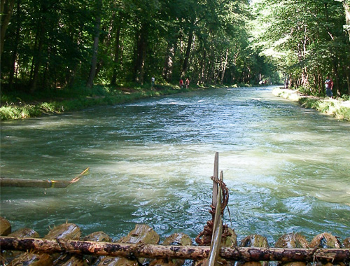 Blick vom Floss auf die str&ouml;mende Isar im schattigen Waldabschnitt